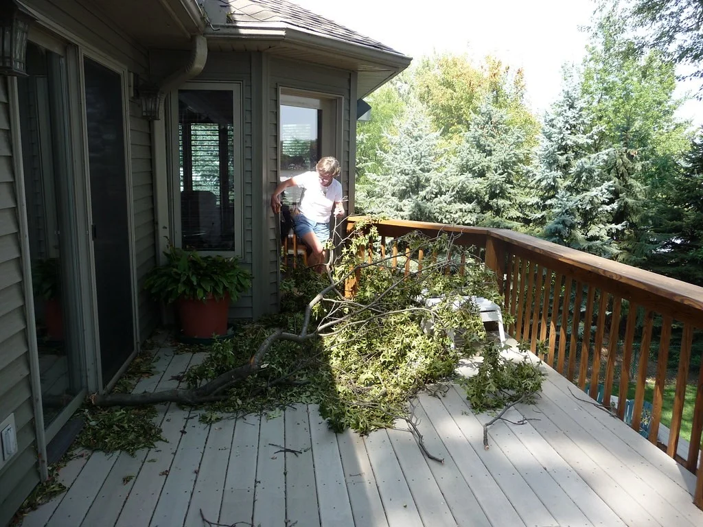 Branches on a deck, yard waste removal